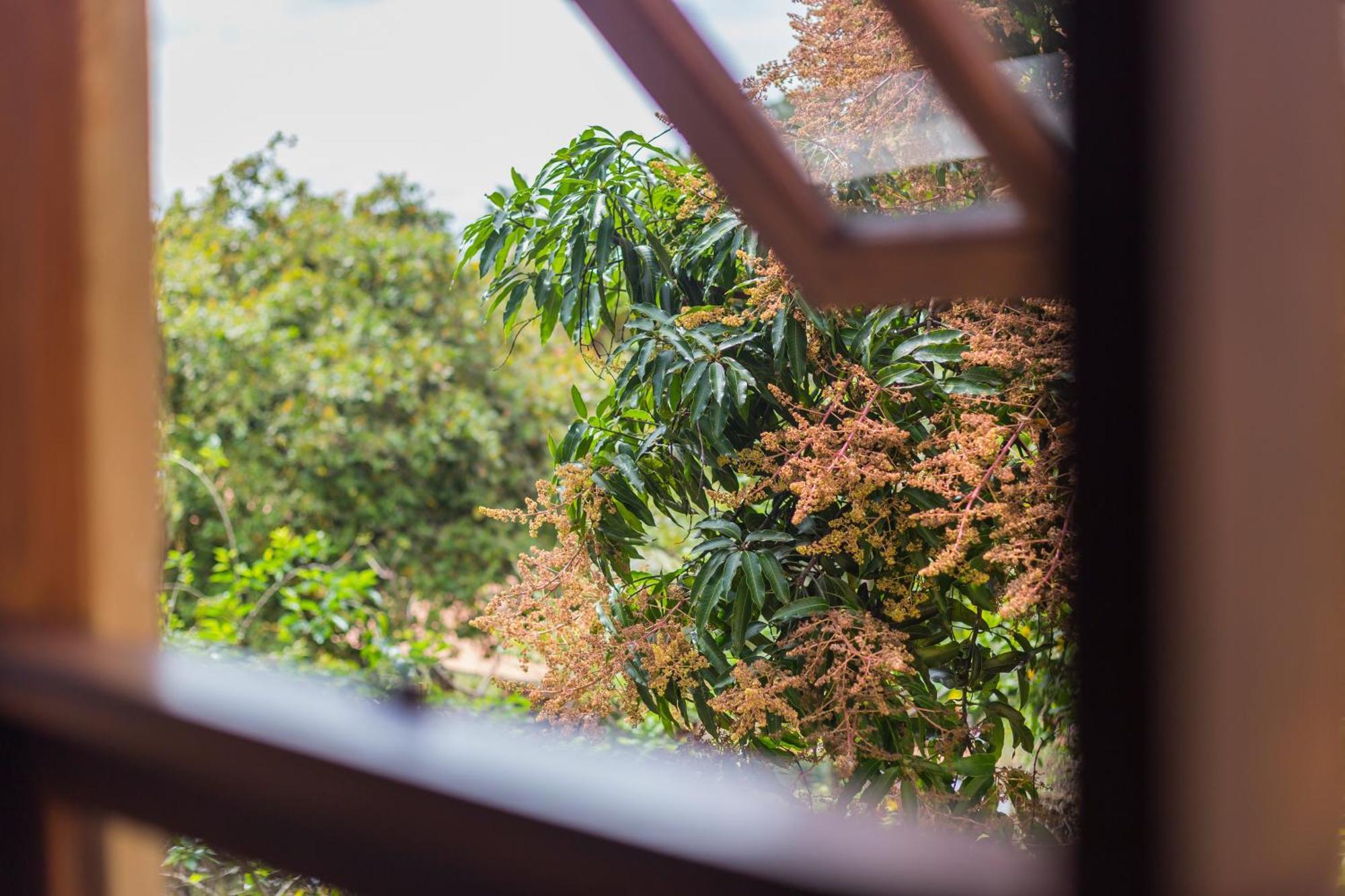 Terra Dos Diamantes Hotel เลนโซยส์ ภายนอก รูปภาพ